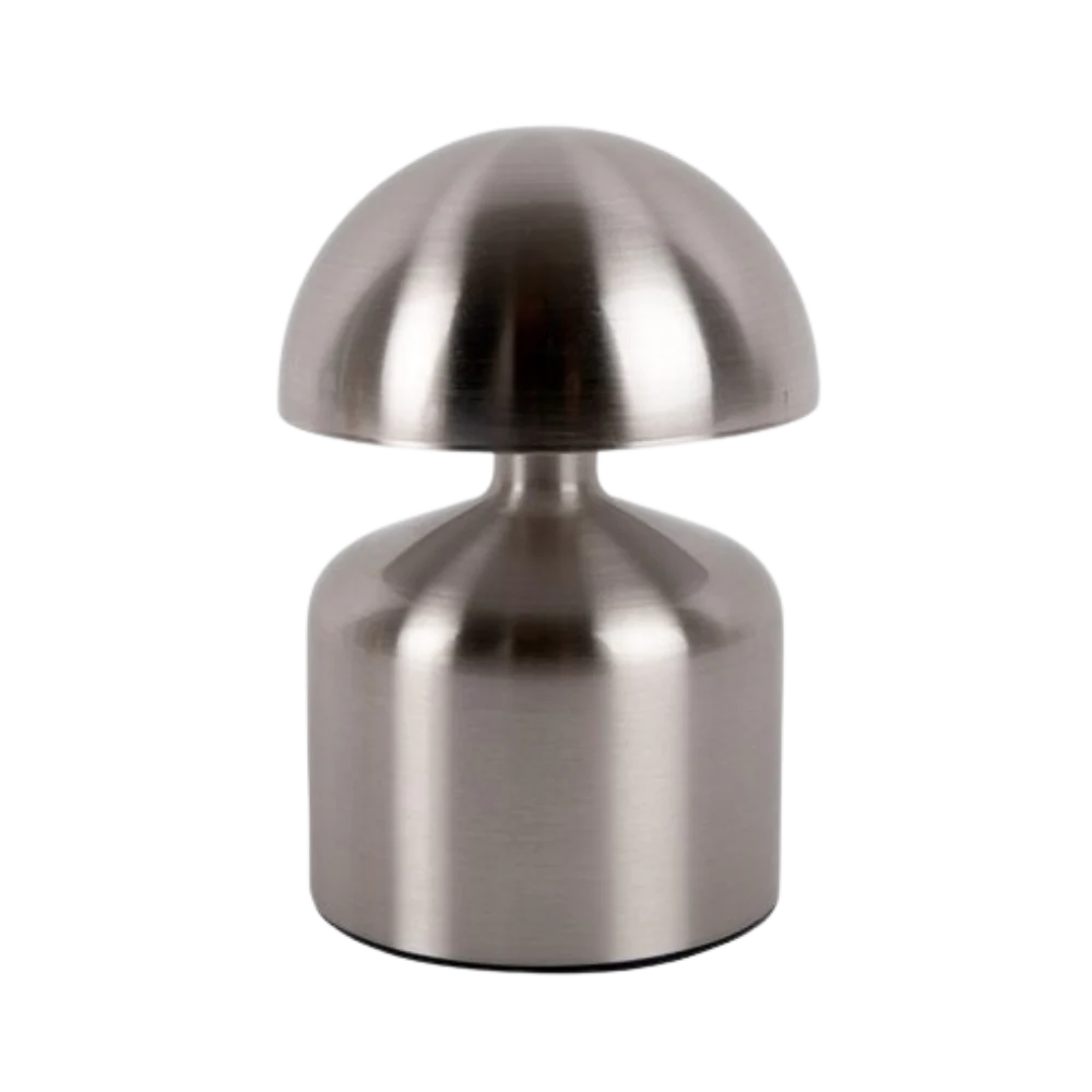 Hopeanvärinen Luminous Nikkel Shine D844