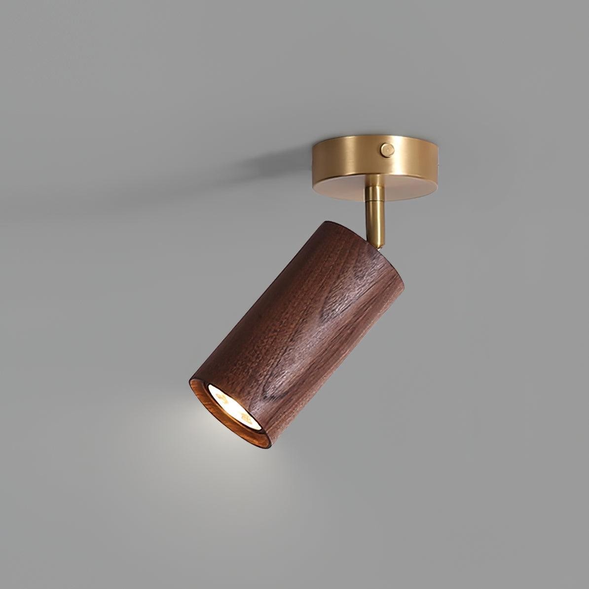 Close-up of walnut wood spotlight head and brass ceiling mount