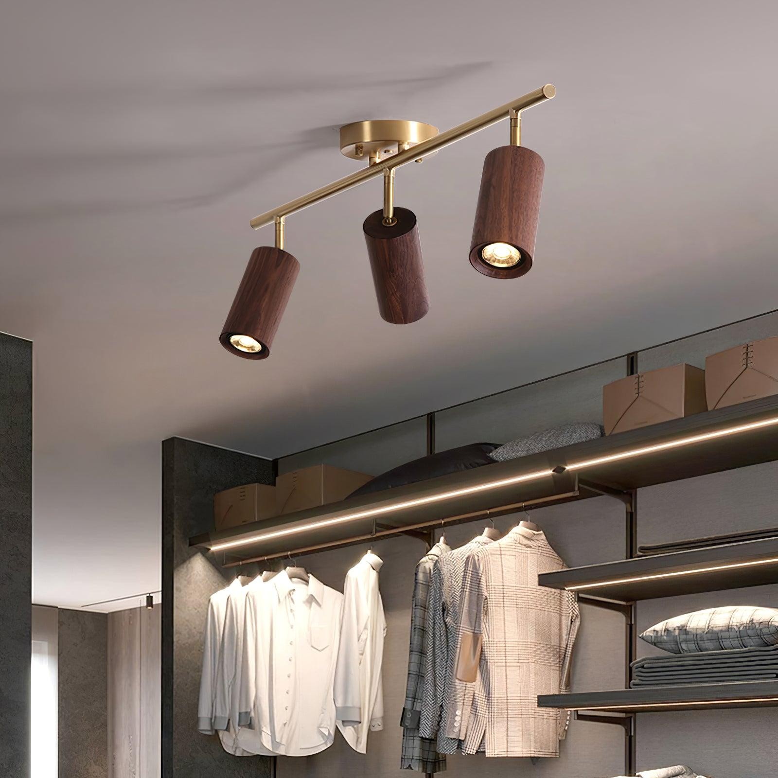 Three-head ceiling track light in closet interior scene